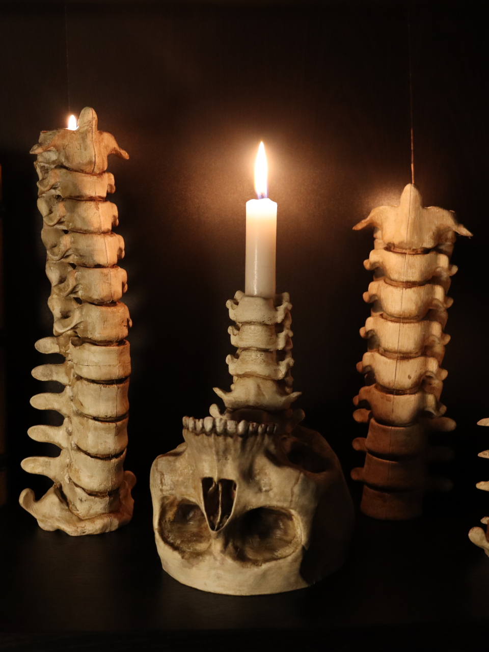 Spine Candle Holder bone white front view showing vertebrae detail with taper candle