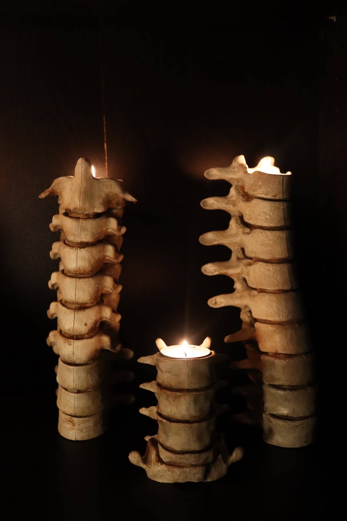 Spine Candle Holder bone white side angle showing vertebral processes and taper candle lit