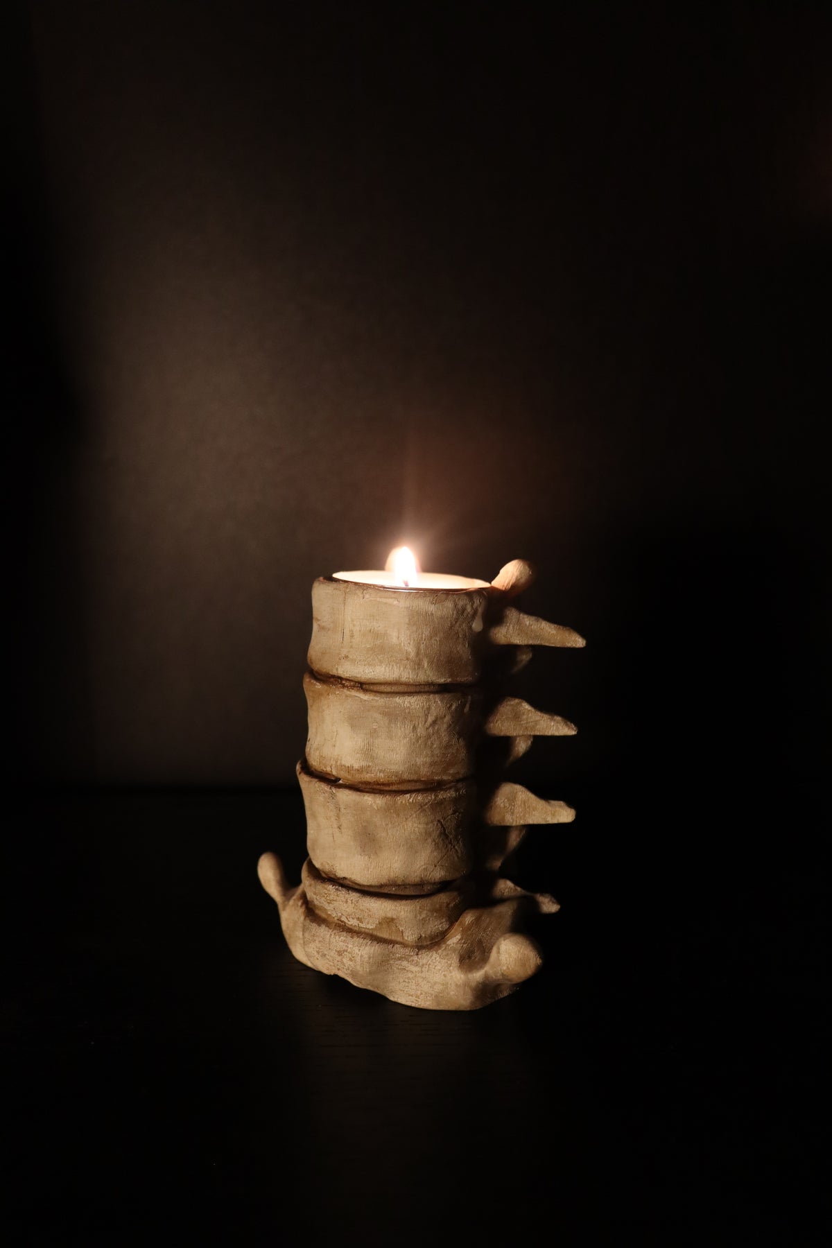 Spine Candle Holder bone white full spine display showing all vertebrae stacked