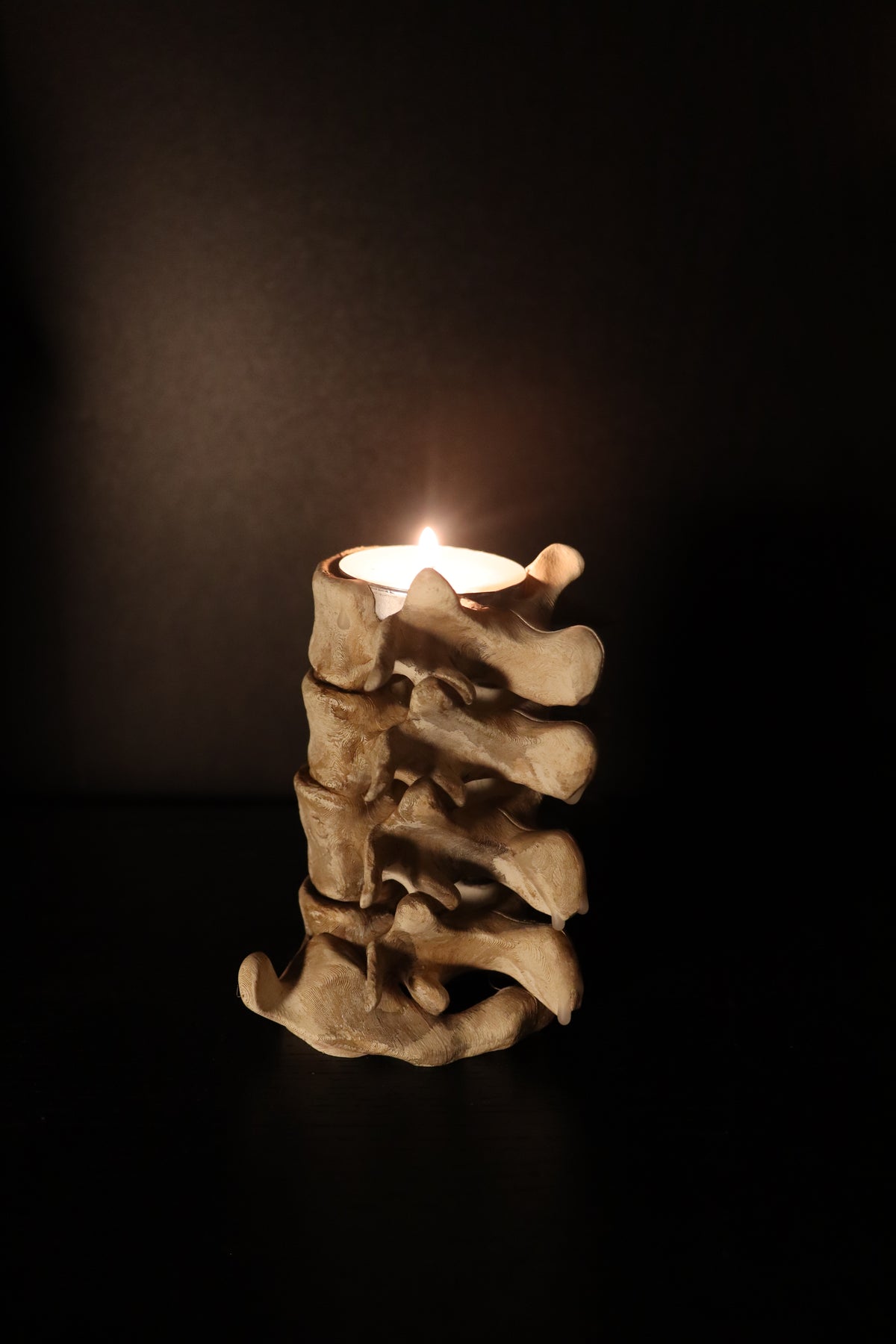 Spine Candle Holder bone white tealight angled view showing shadow play on dark background