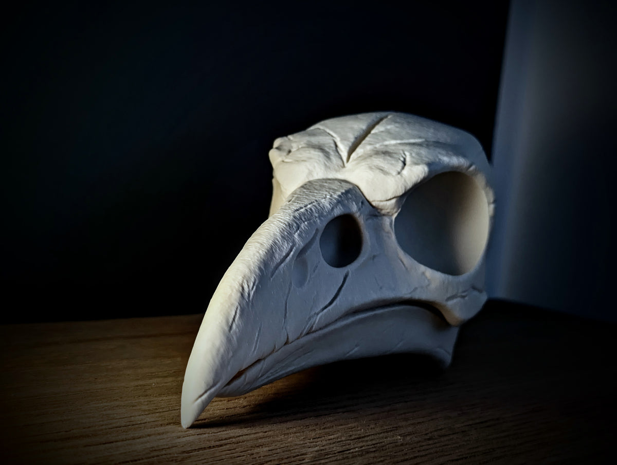 Anatomical Raven Skull Sculpture in bone white — close left profile showing orbital cavity, fenestrated rostrum and jugal bar openings and beak grain texture in warm directional light