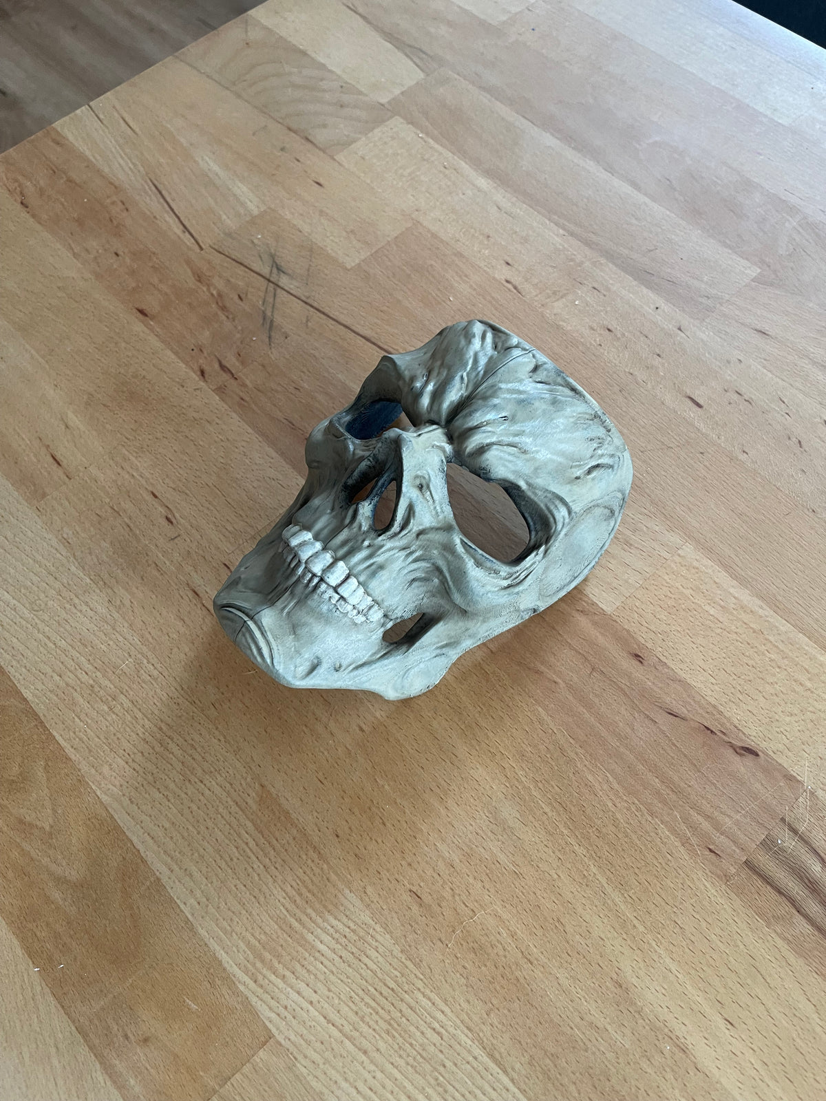Skull Zombie Mask Sculpture in grey — three-quarter side view showing full mask depth, cranial dome organic surface relief, orbital cavity recess, nasal aperture and jaw with individual teeth on wooden surface