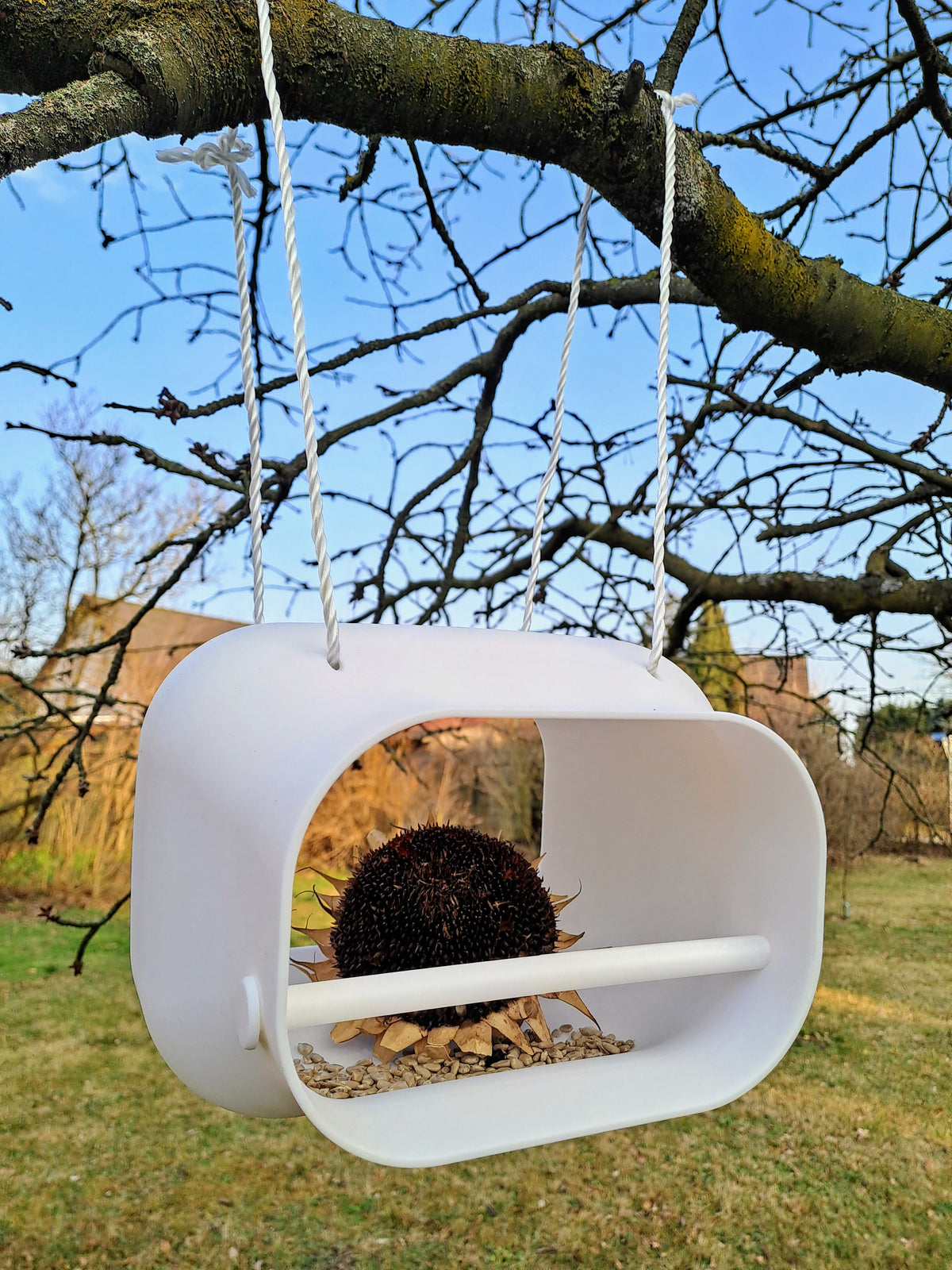 Modern white bird feeding station hanging from tree branch outdoors