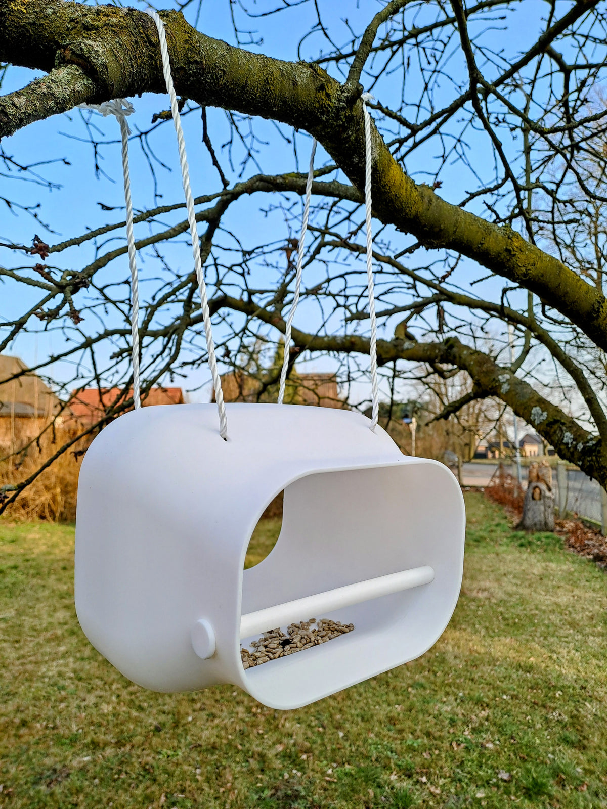 Modern white bird feeding station with fat ball hanging from tree branch