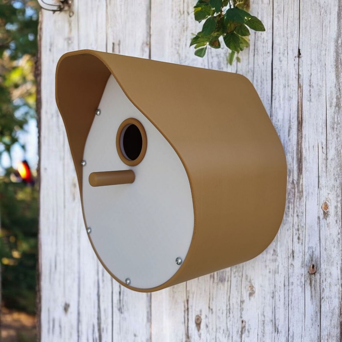 Bird Home modern curved birdhouse front view showing oval panel, entry hole and perch