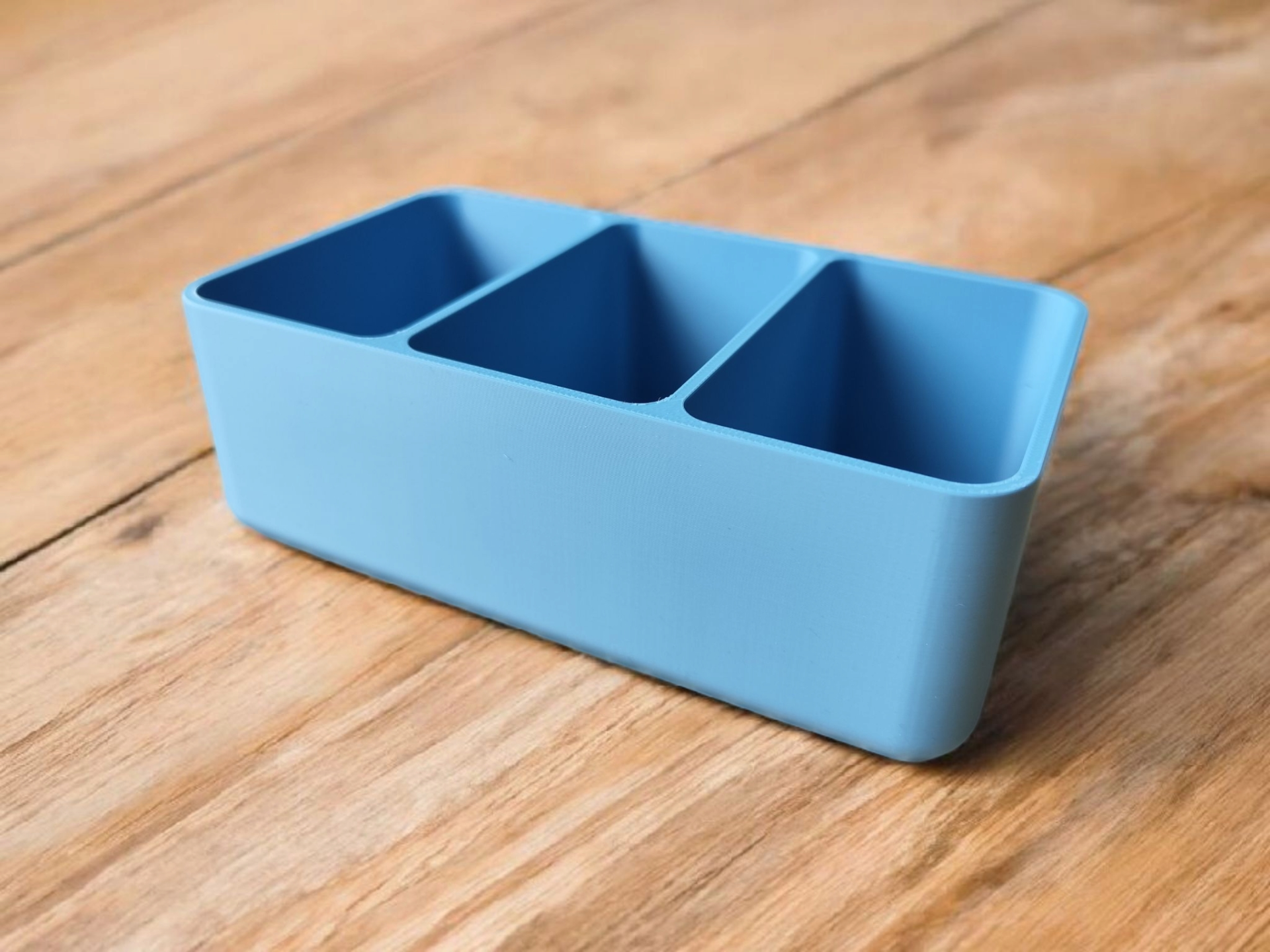 Model Premiere: Closet and Drawer Organizer for Belts & More