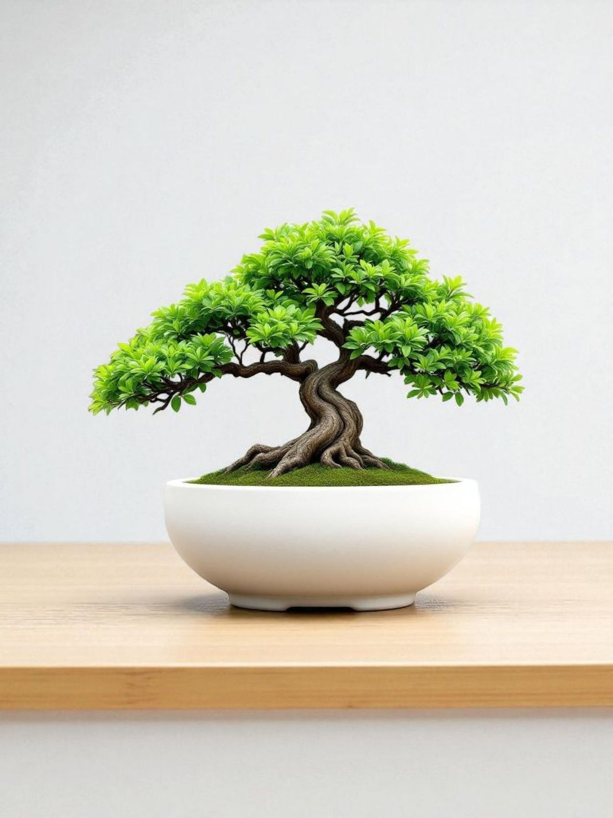 Minimalist Bonsai Pot