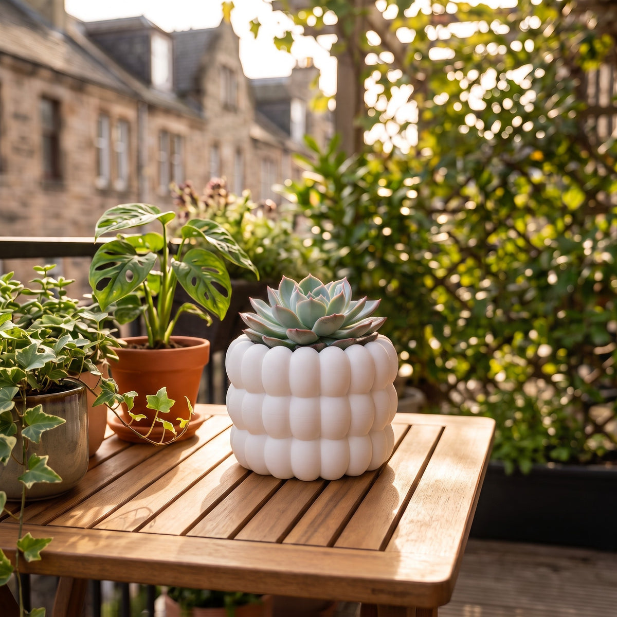 Bubble Plant Pot in white with mixed succulents including purple echeveria, haworthia and string of pearls on a rustic wooden side table on a city-view balcony with monstera and olive tree in soft golden hour light