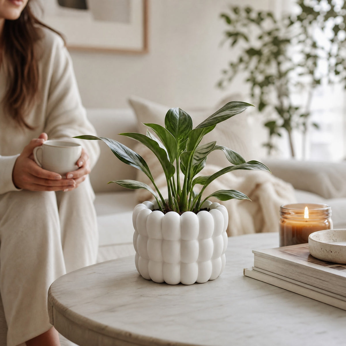 Bubble Plant pot and Planter