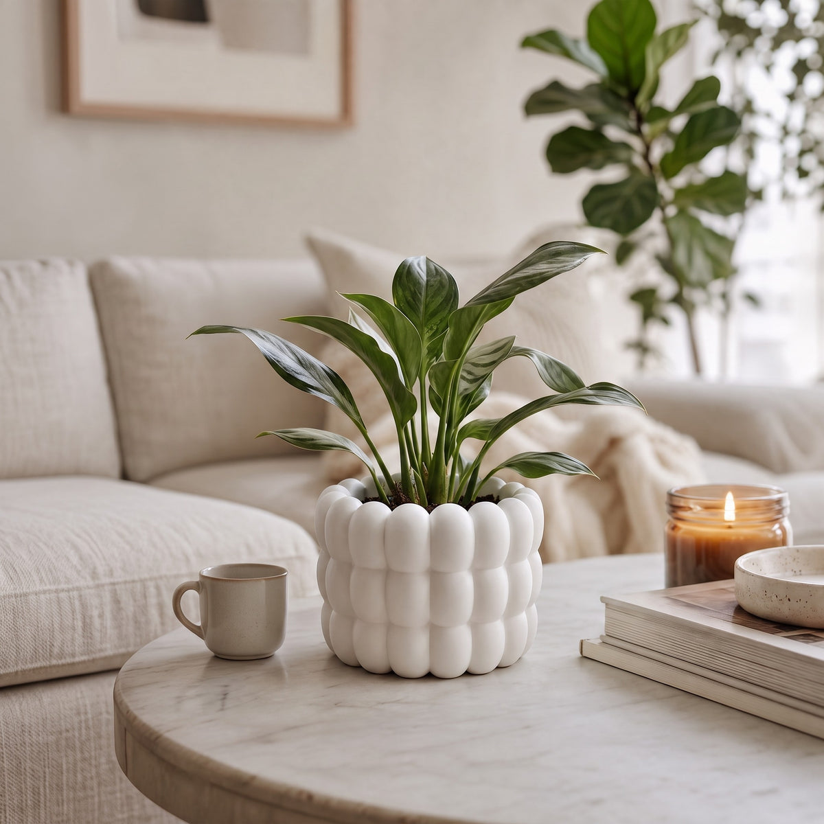 Bubble Plant pot and Planter