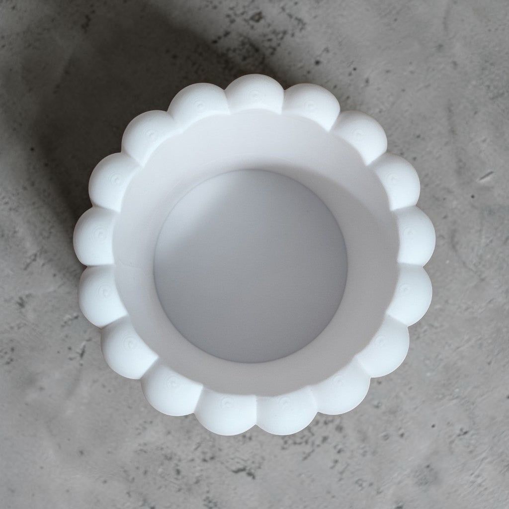 Bubble Plant pot and Planter