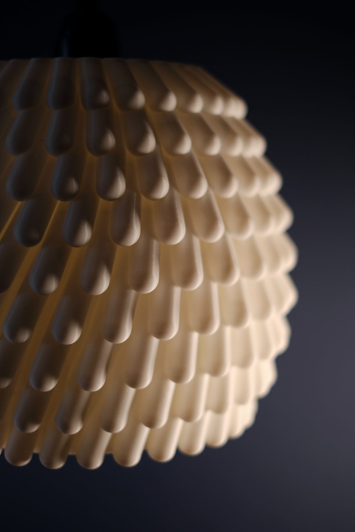 Sea anemone lampshade close up top teardrop surface detail dark background