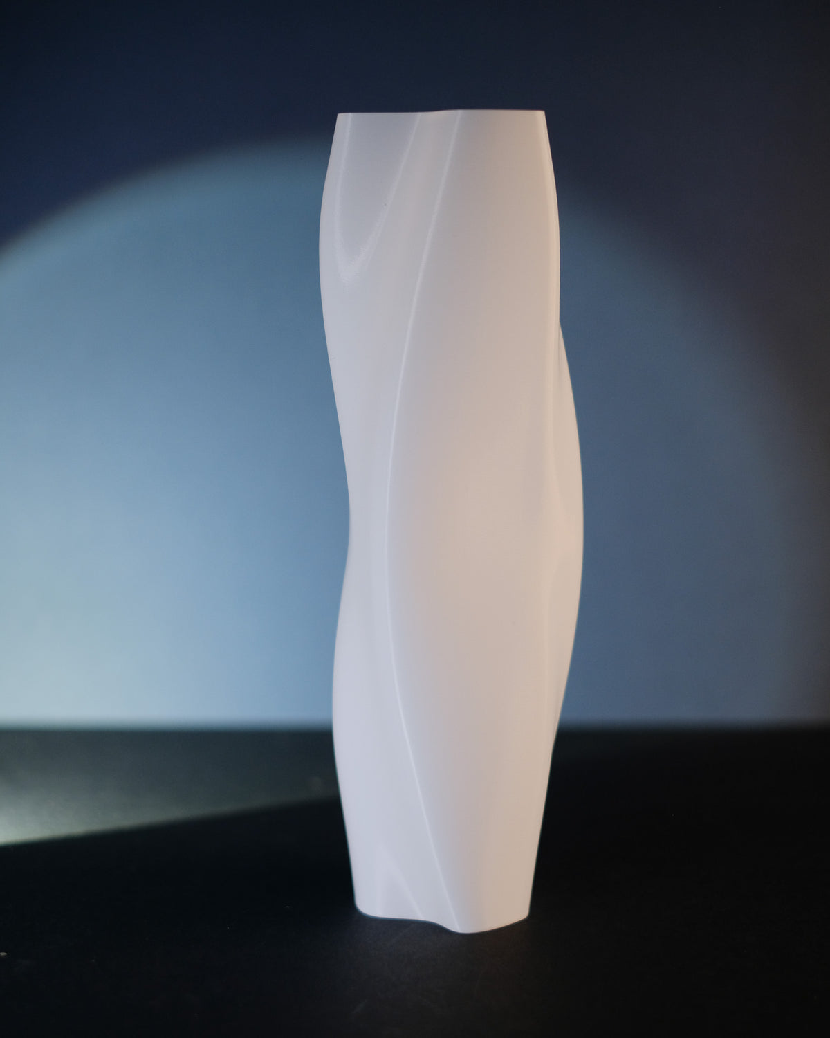 Dynamic Twist Vase - DSCF0352