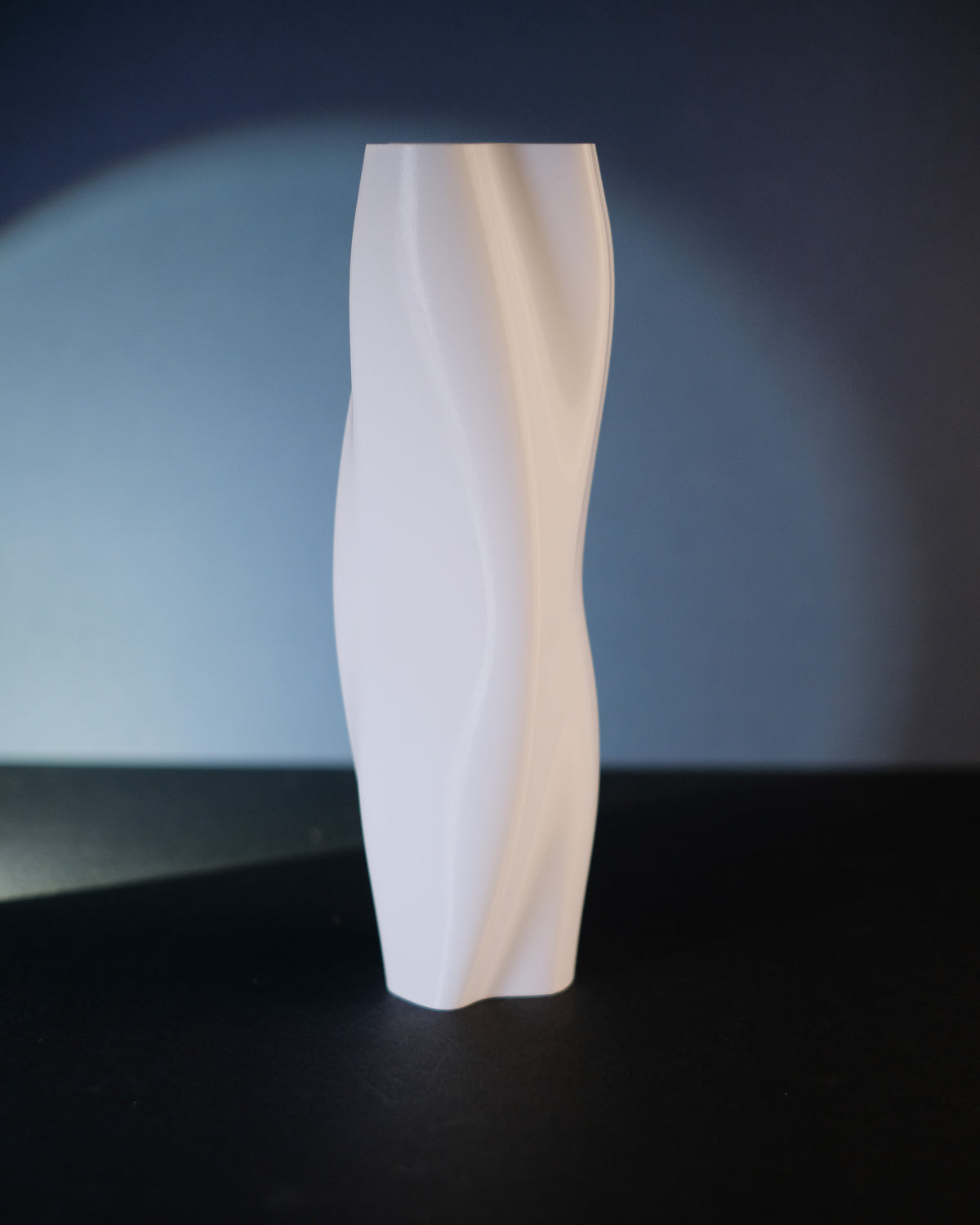Dynamic Twist Vase - DSCF0354