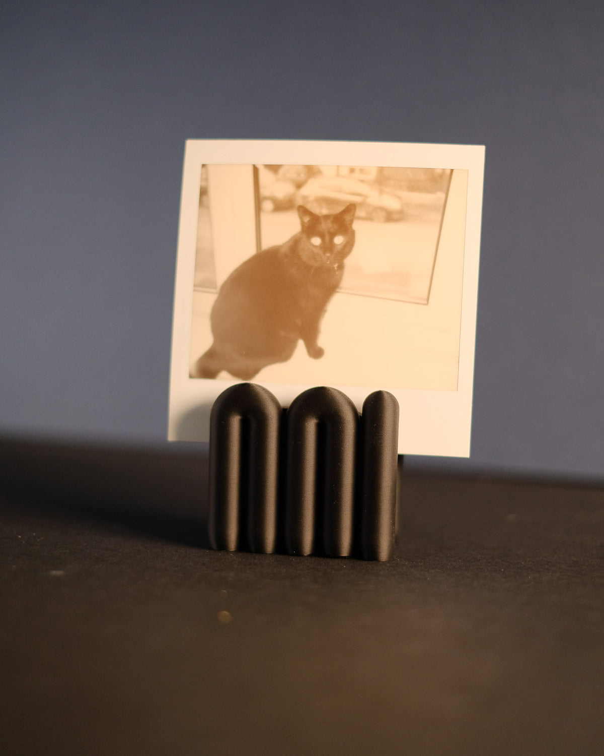 Aesthetic Wibble Photo Holder - DSCF0475