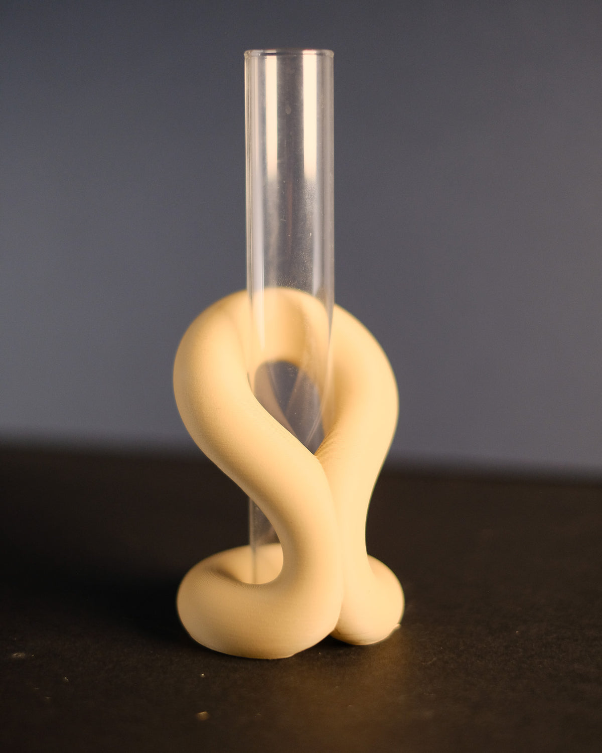 Elegant Flowing Propagation Vase Stand - DSCF0488