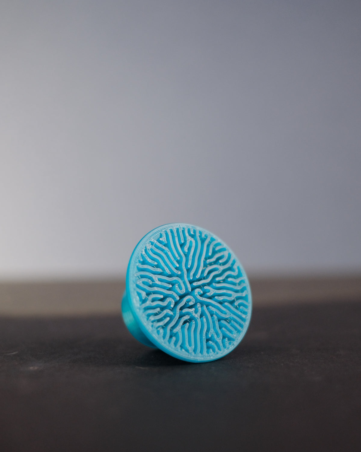 Modern Coral Pattern Cabinet Knob - teal standing on surface