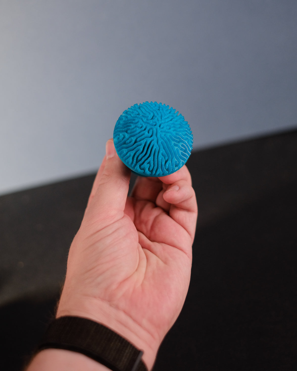 Reaction Diffusion Coral Cabinet Knob - blue held in hand front