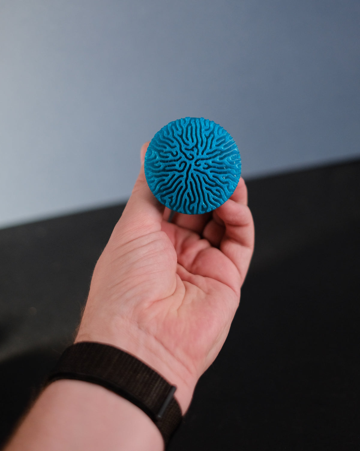 Reaction Diffusion Coral Cabinet Knob - blue held in hand top