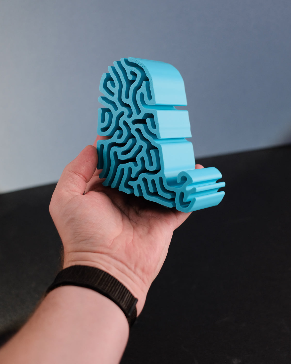 Modern Coral Differential Growth Phone Stand