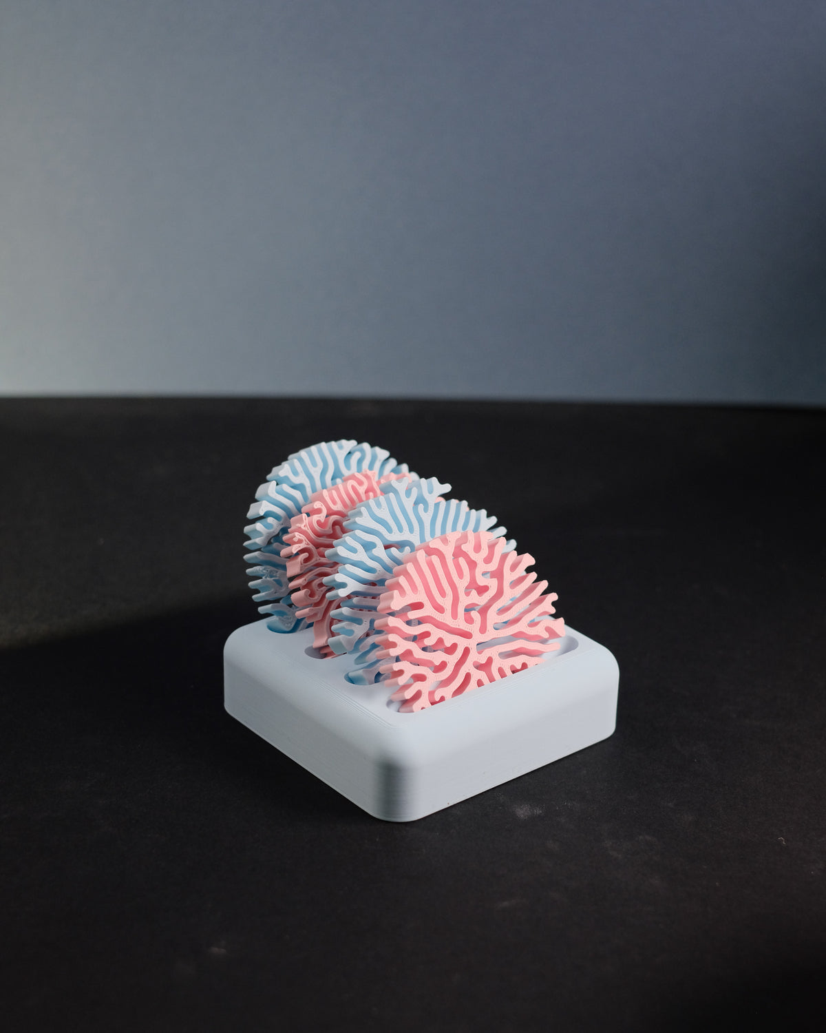 Coral Coasters