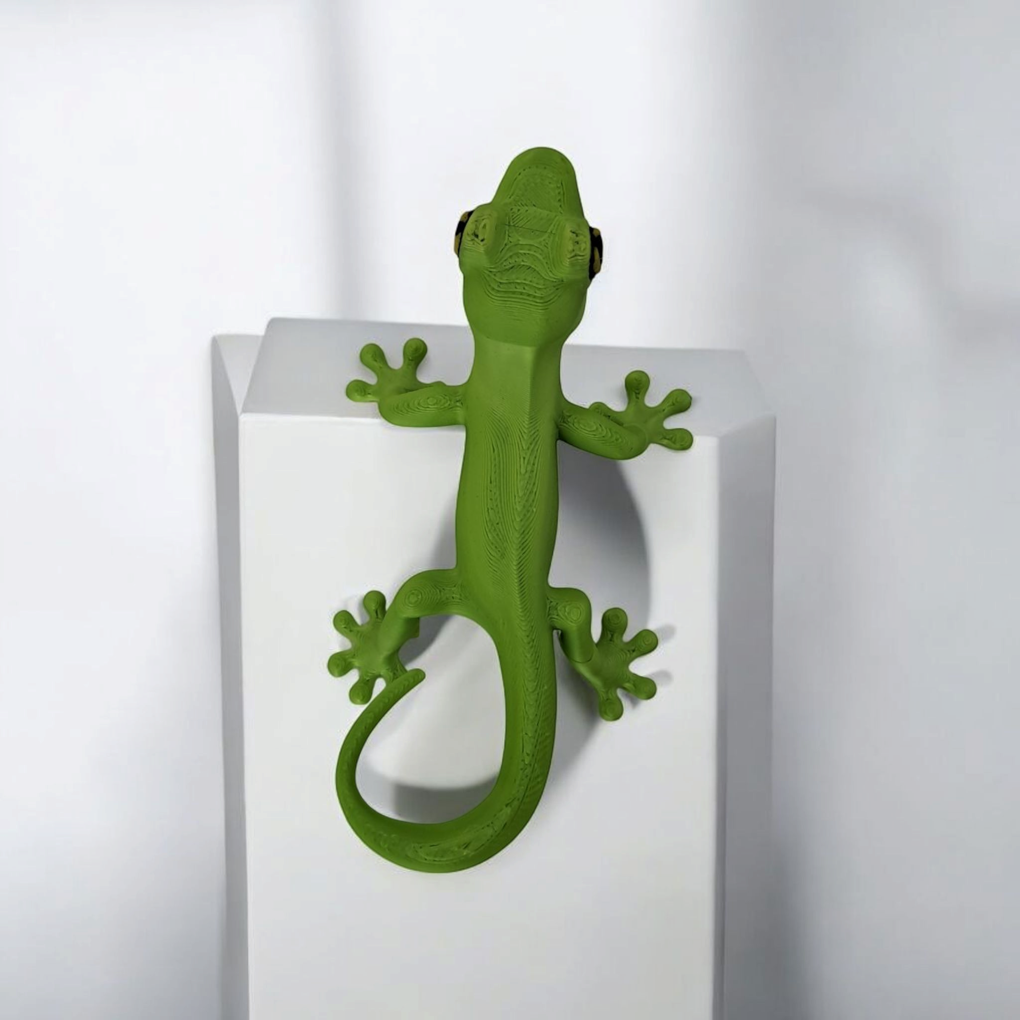Small Gecko — A Tiny Desert Wanderer Awaits!