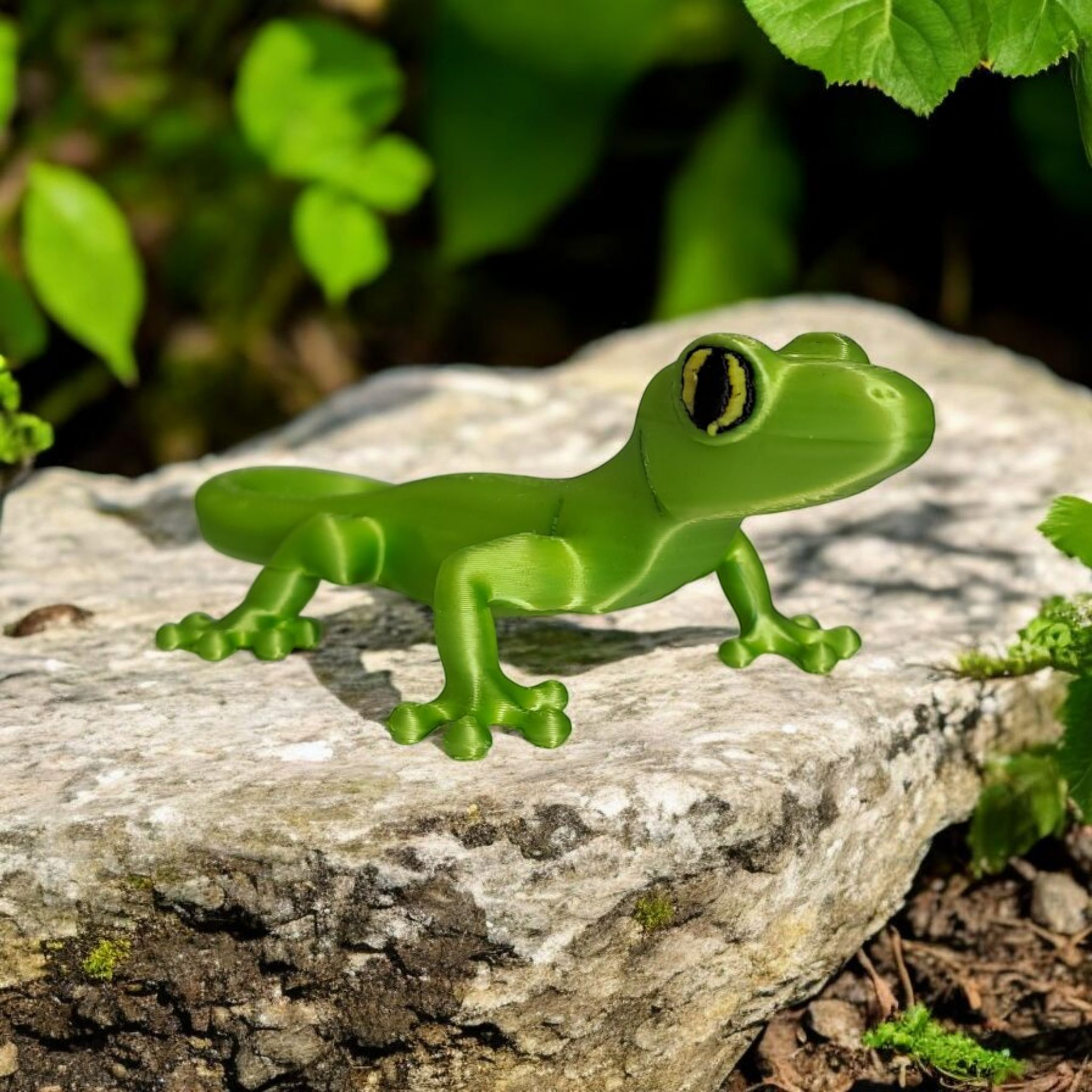 Small Gecko — A Tiny Desert Wanderer Awaits!