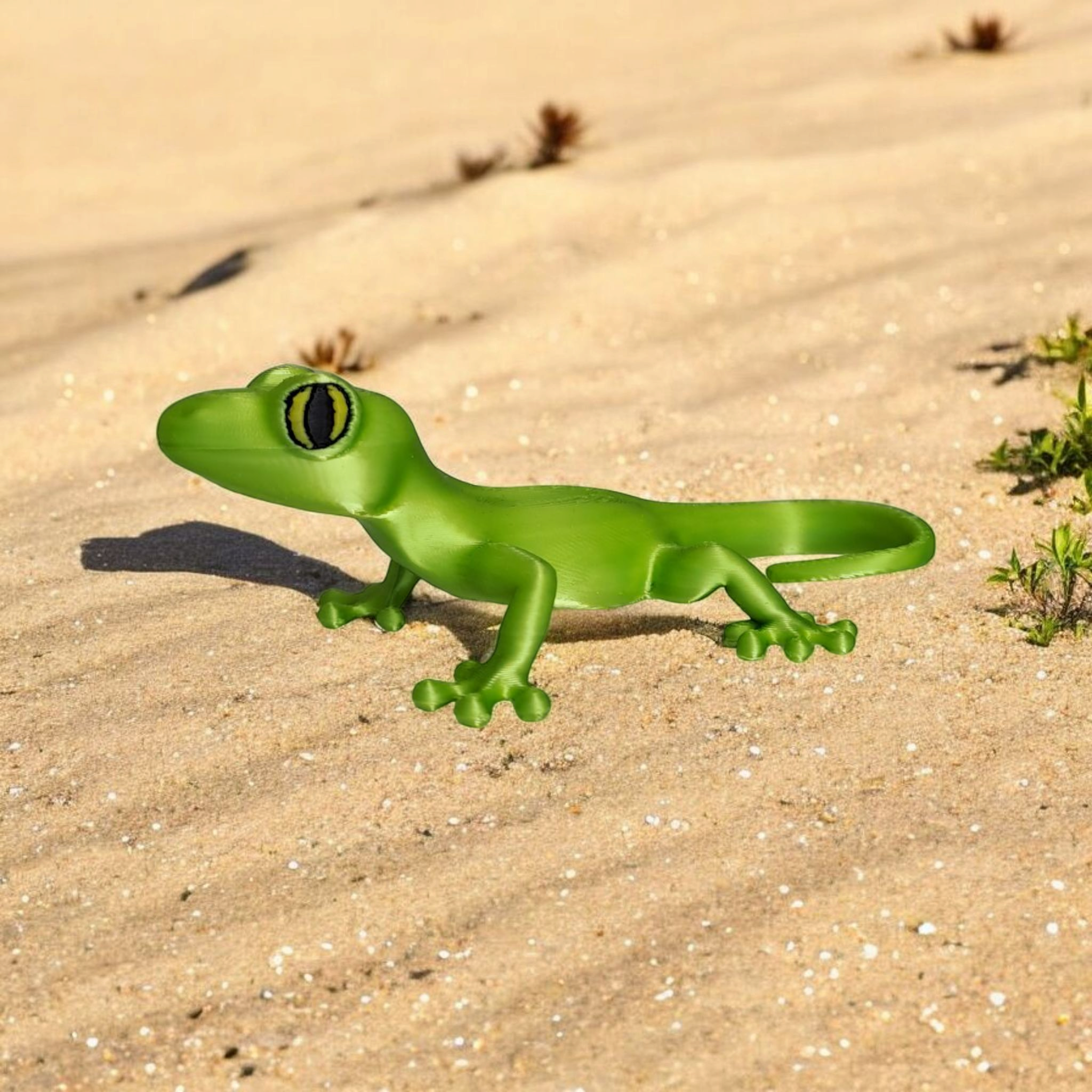 Small Gecko — A Tiny Desert Wanderer Awaits!