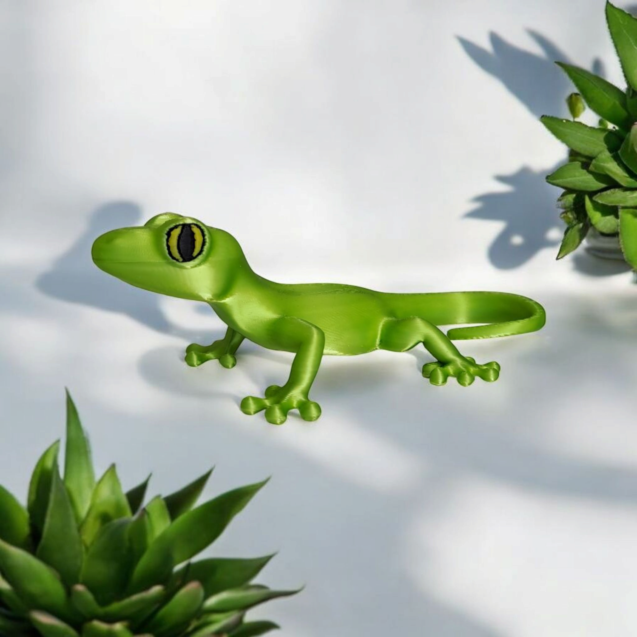 Small Gecko — A Tiny Desert Wanderer Awaits!