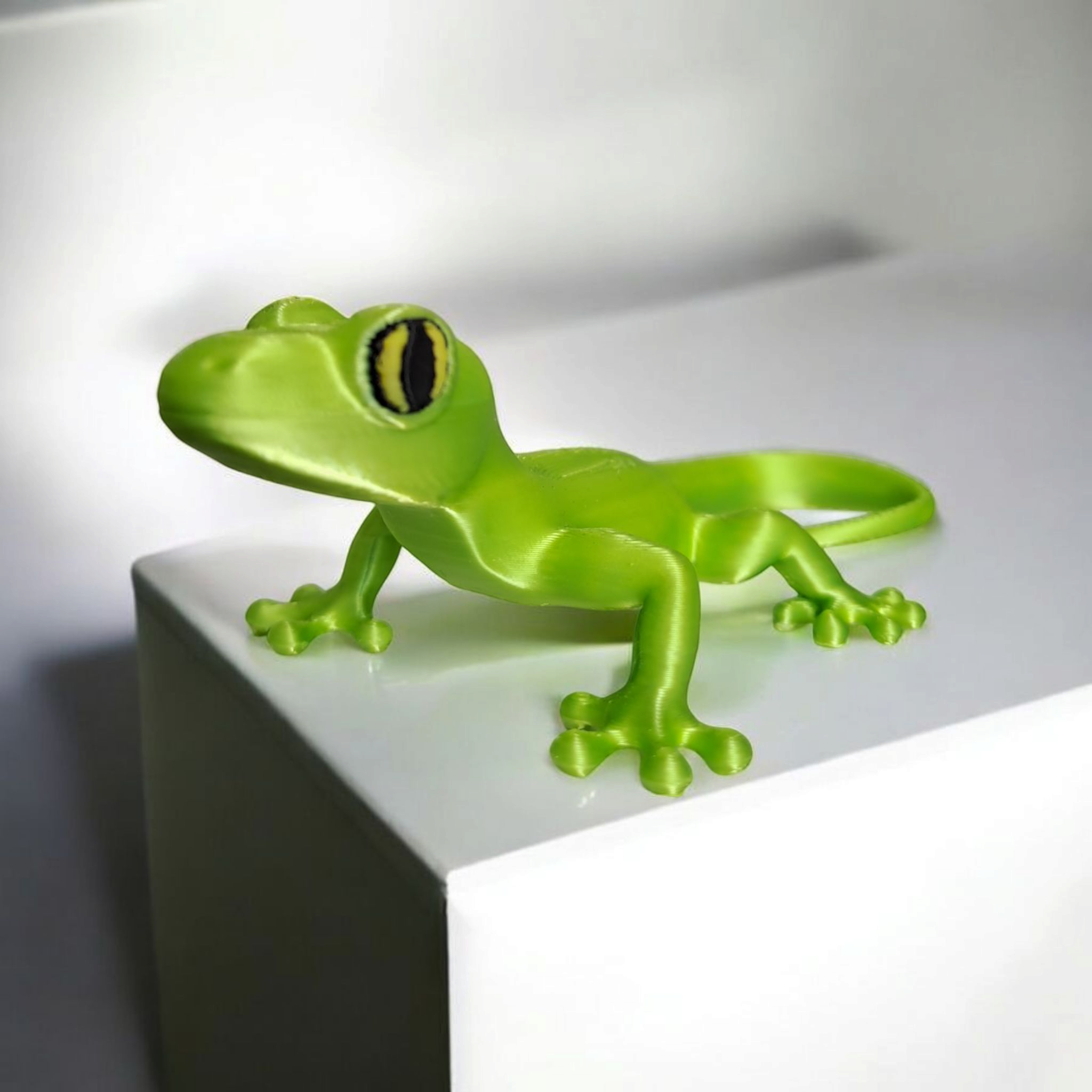 Small Gecko — A Tiny Desert Wanderer Awaits!