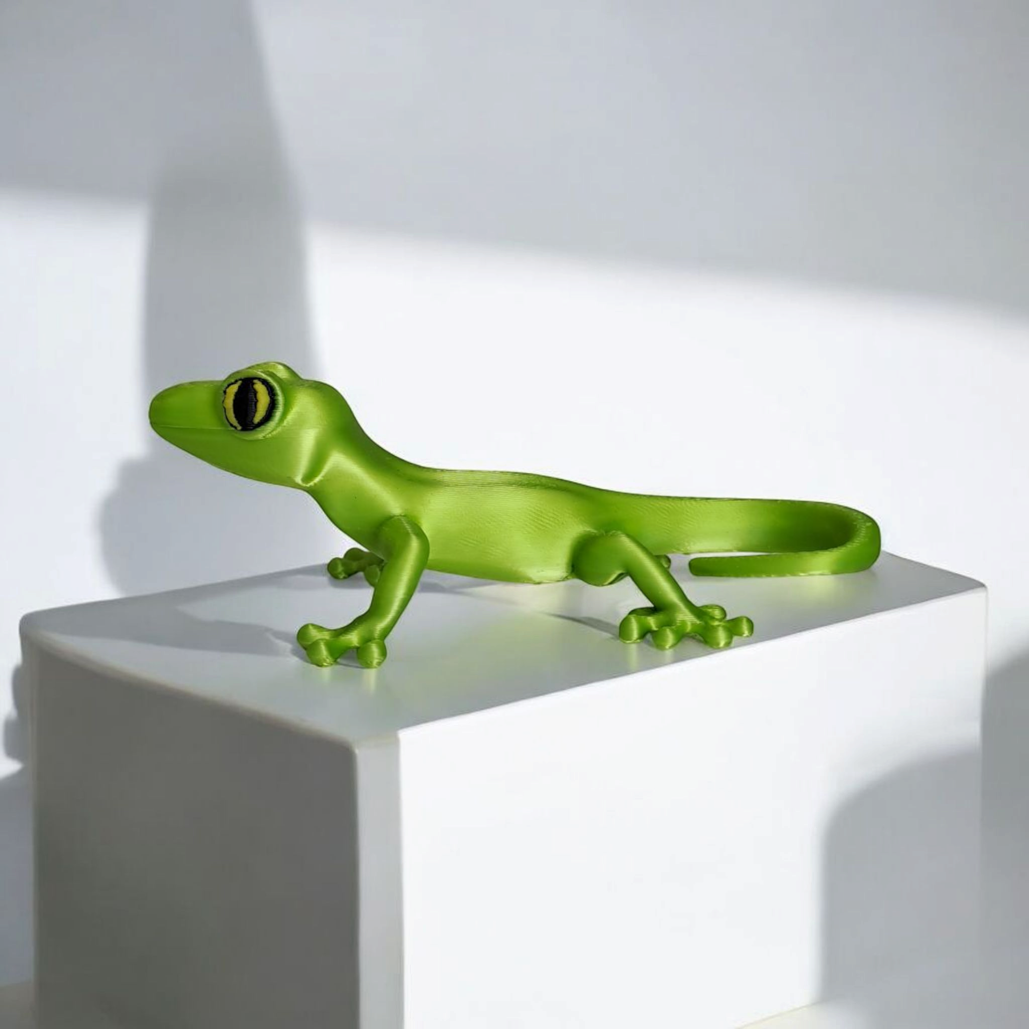 Small Gecko — A Tiny Desert Wanderer Awaits!