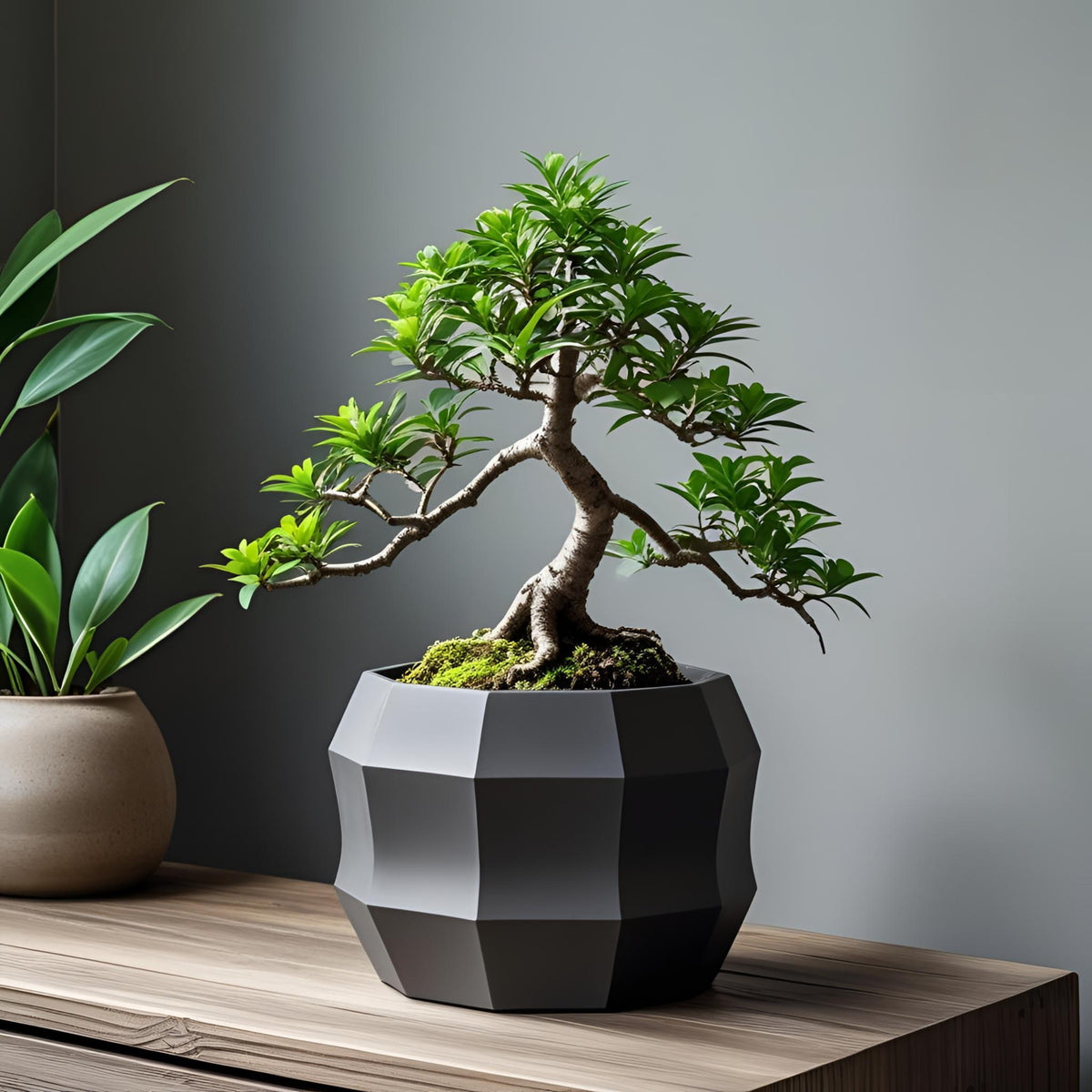 Decagonal Flowerpot