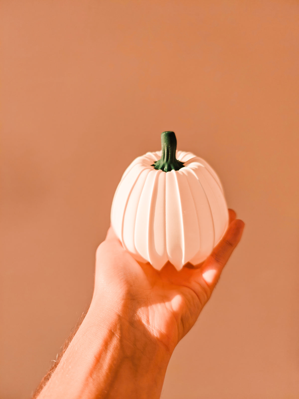 White pumpkin with contrasting stem held in hand