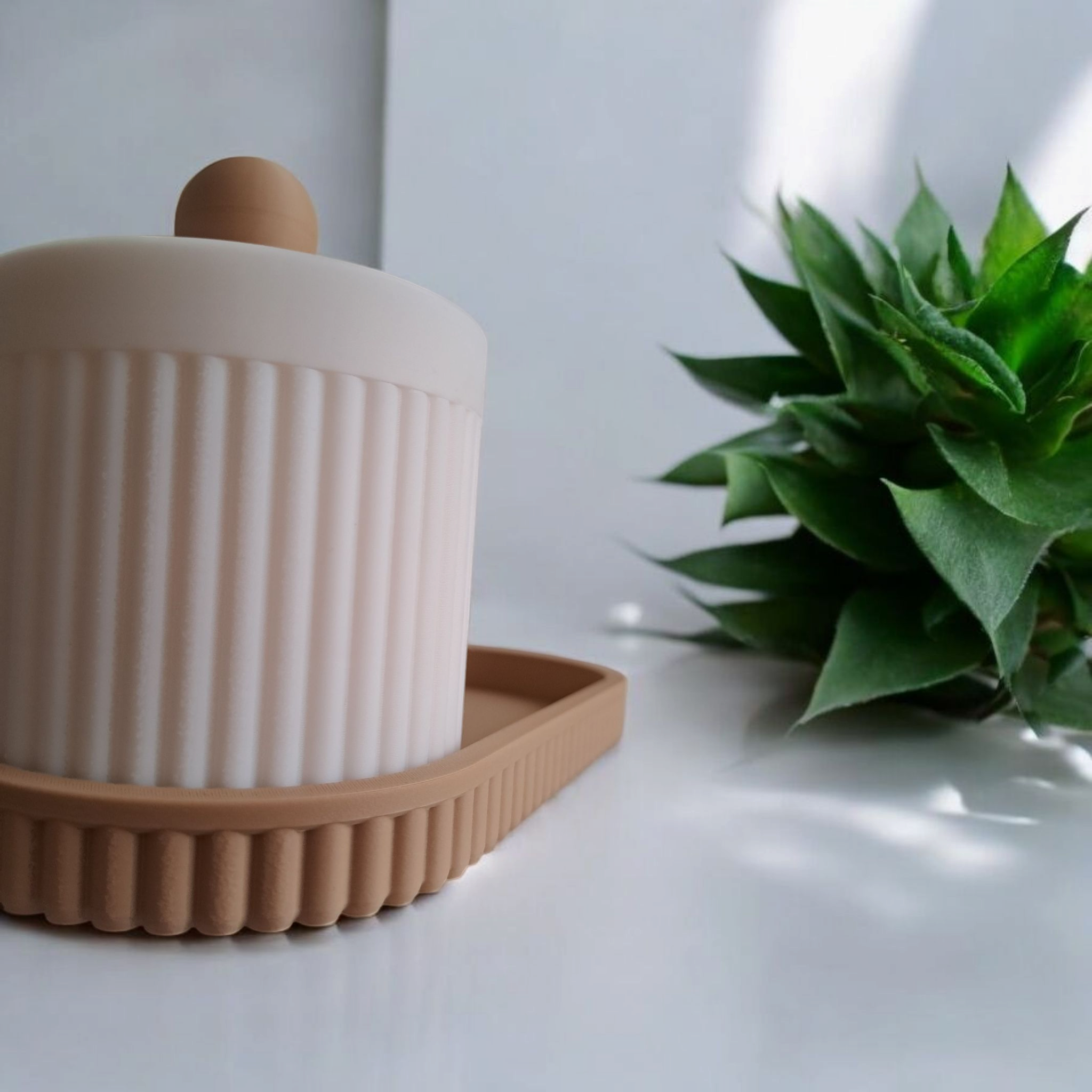 Ribbed Organizer Set – A Delicate Home Accent with for a little tidy Joy