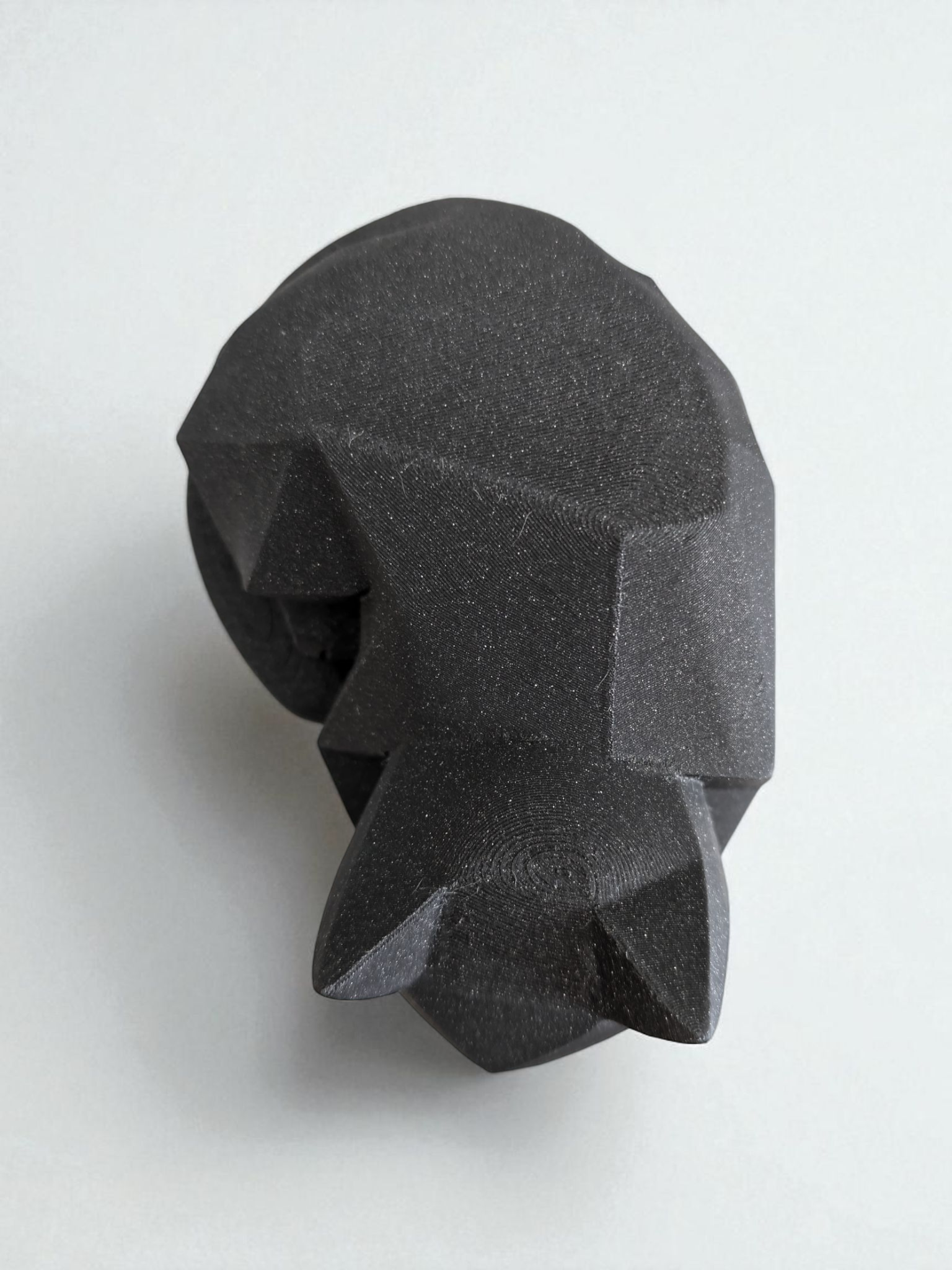 Cute Waiting Low Poly Kitten