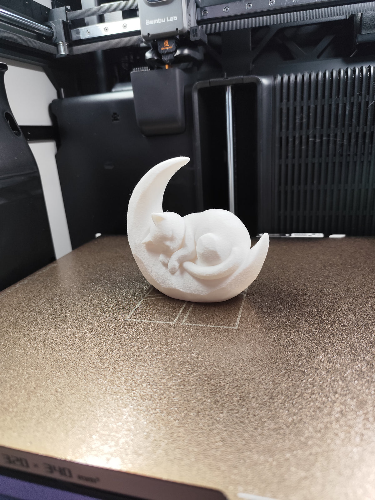 Sleeping Kitten on a Crescent Moon