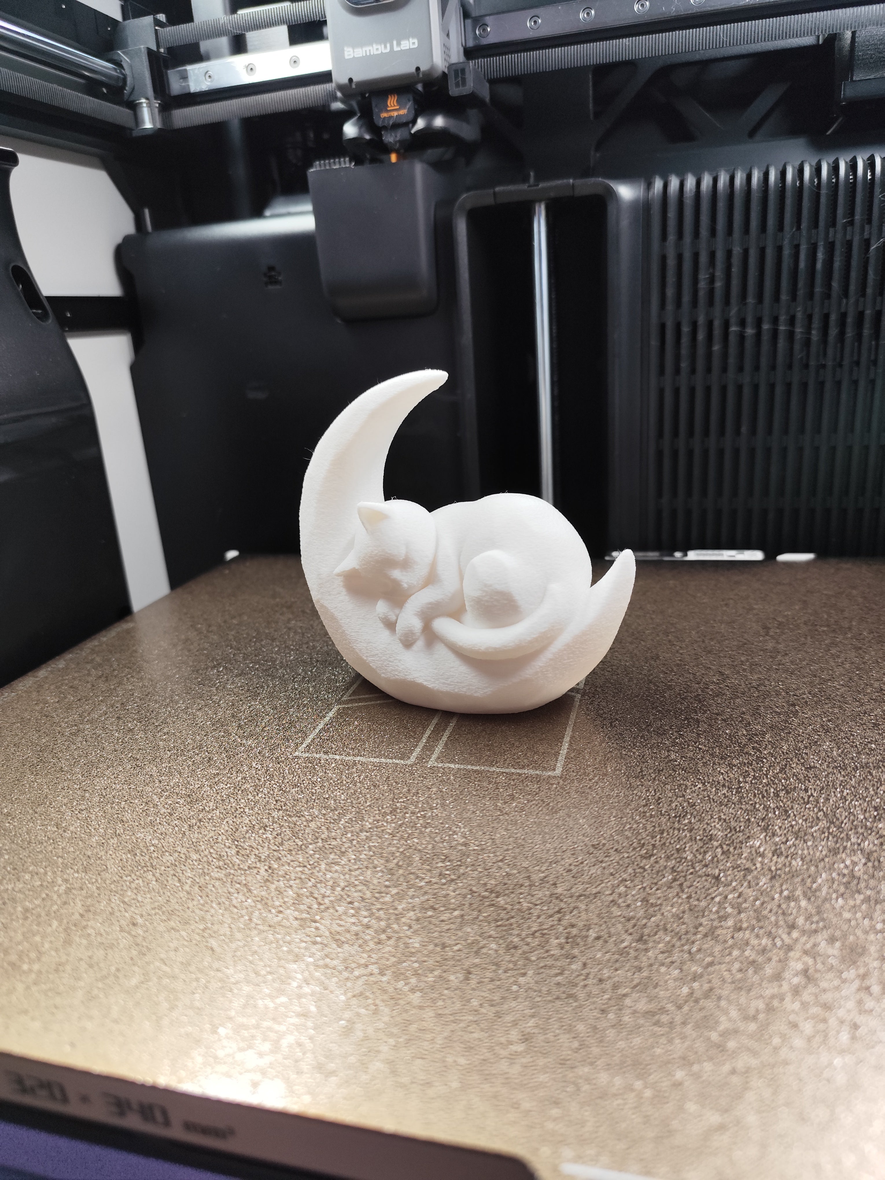Sleeping Kitten on a Crescent Moon