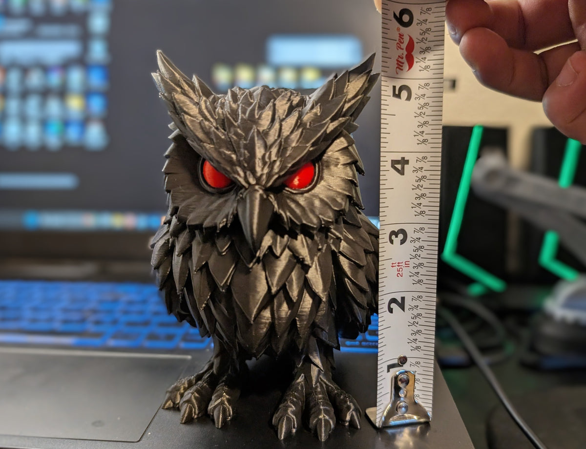 Crimson Watcher Owl beside measurement tape