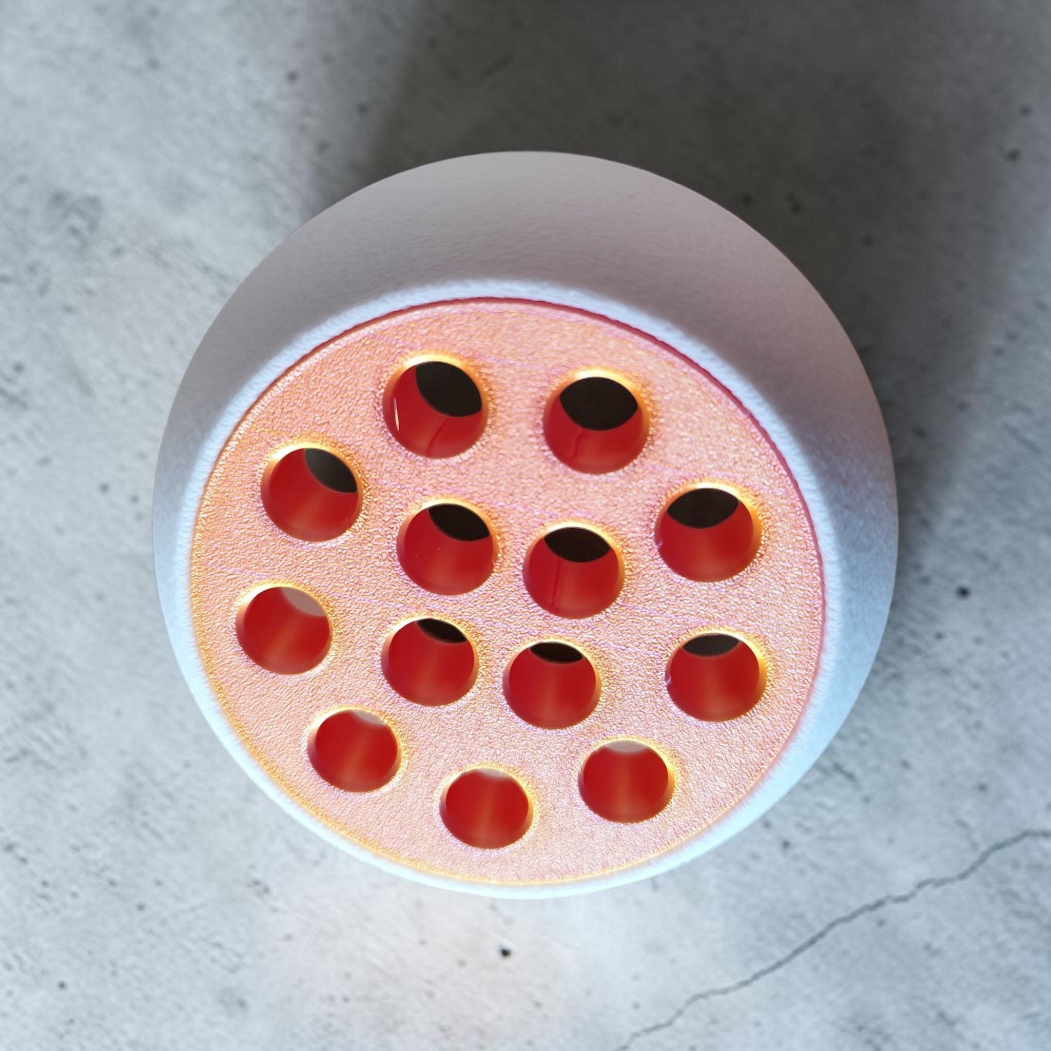 TrypoBall Pencil Holder