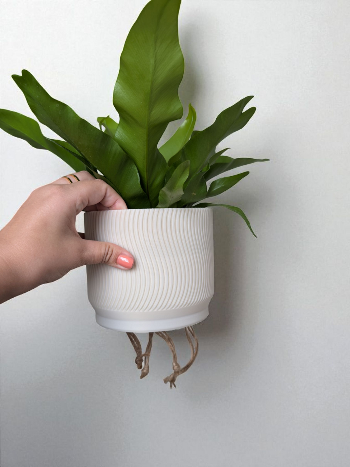2-Piece Ribbed Planter Set