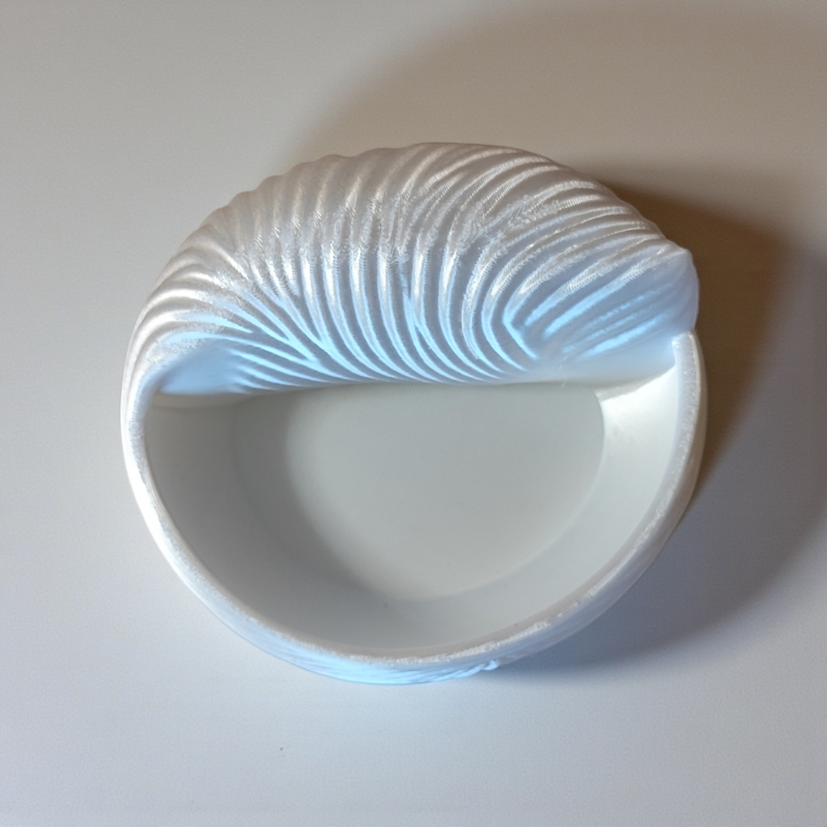 Seashell Jewellery Bowl — Ring Dish & Trinket Holder
