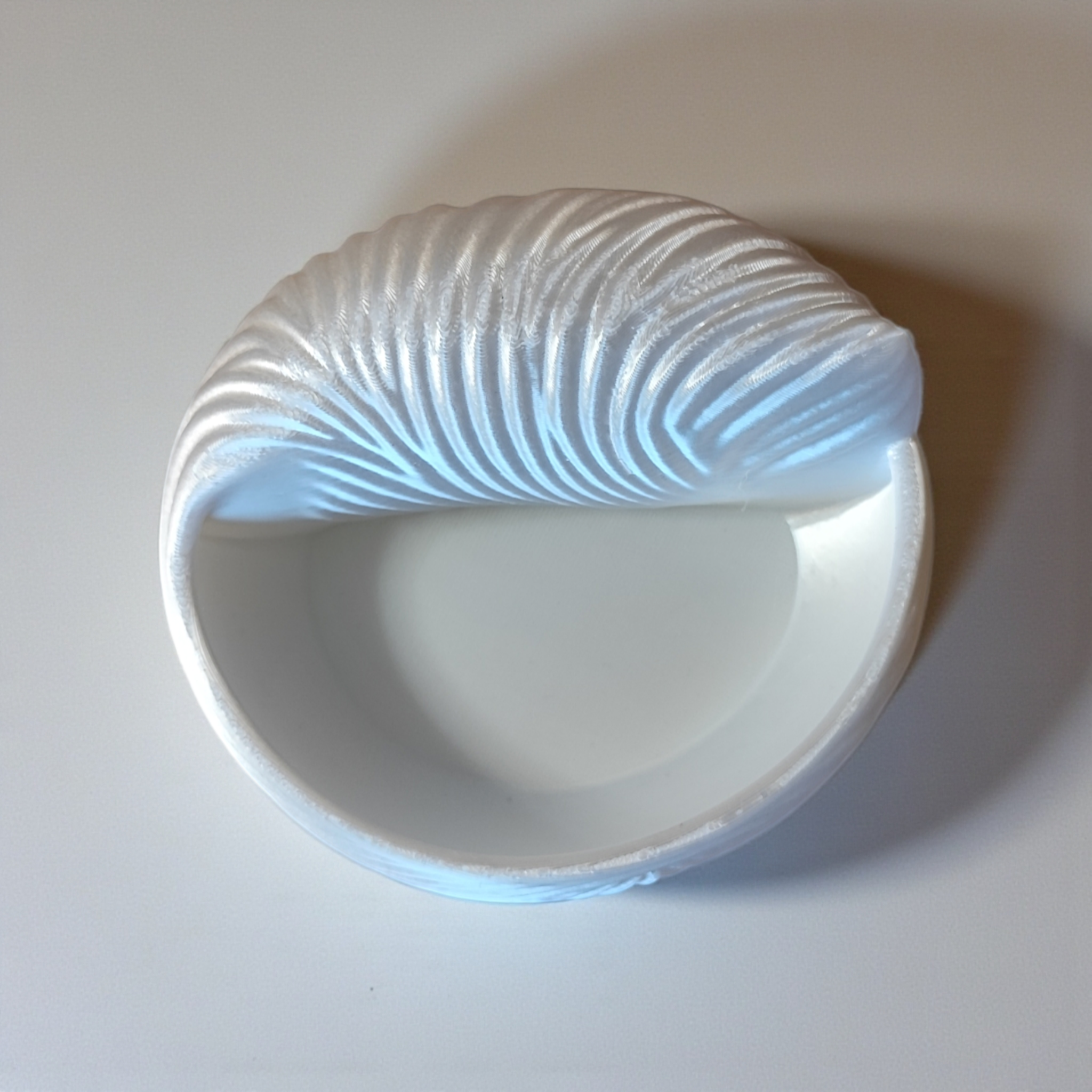 Sweet little seashell jewelery bowl