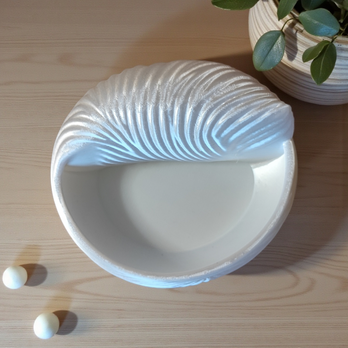 Seashell Jewellery Bowl — Ring Dish & Trinket Holder
