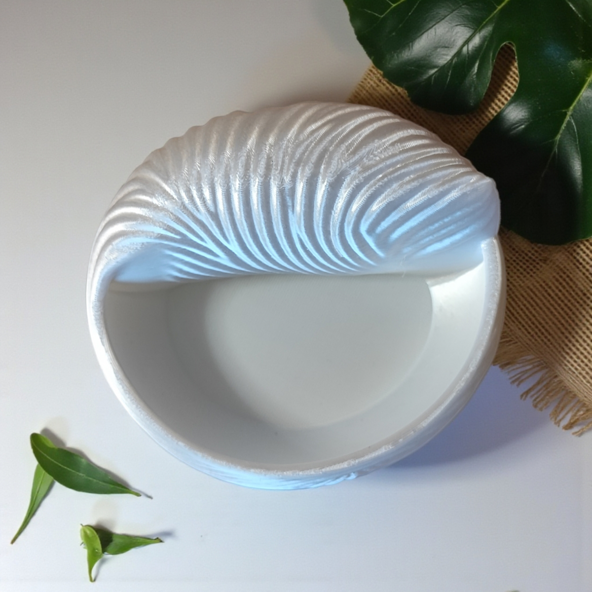 Seashell Jewellery Bowl — Ring Dish & Trinket Holder
