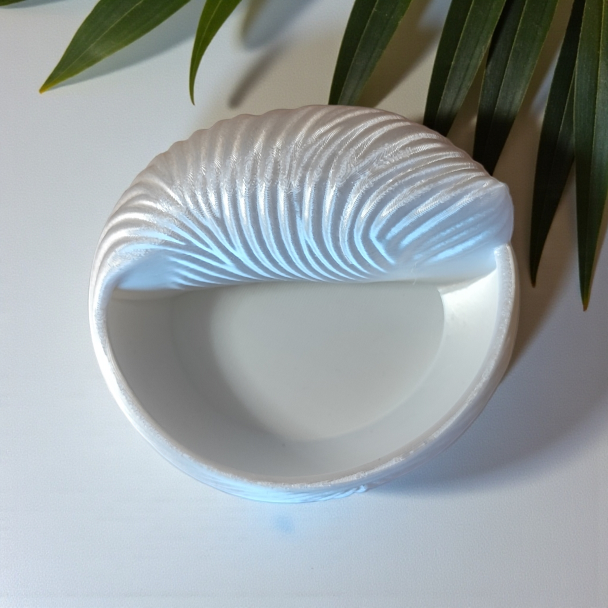 Seashell Jewellery Bowl — Ring Dish & Trinket Holder