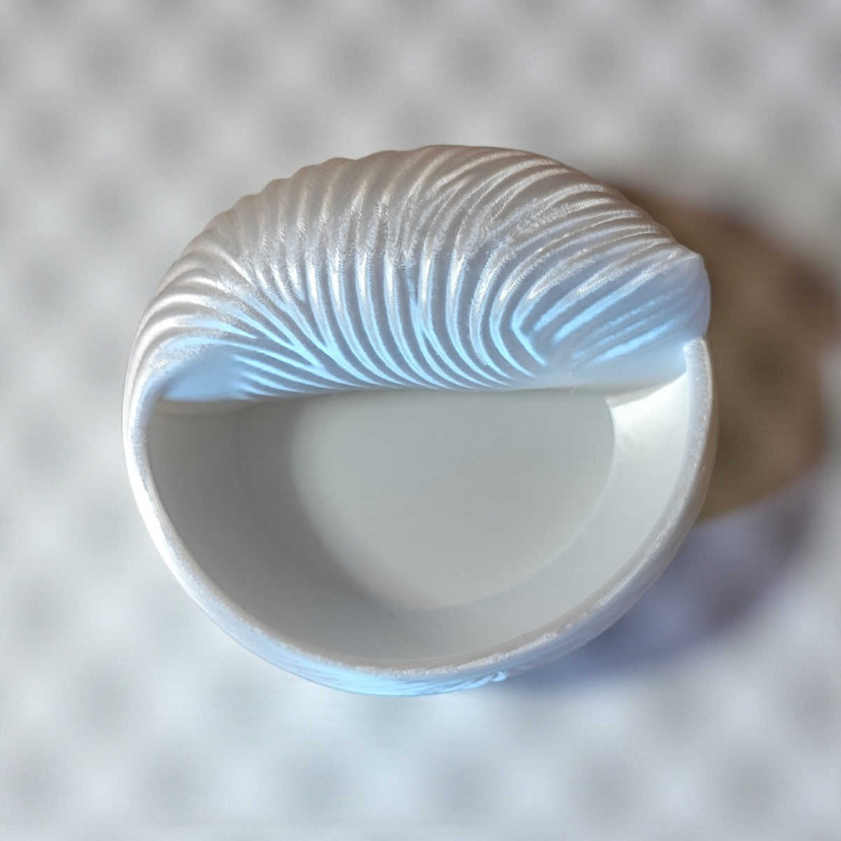 Seashell Jewellery Bowl — Ring Dish & Trinket Holder