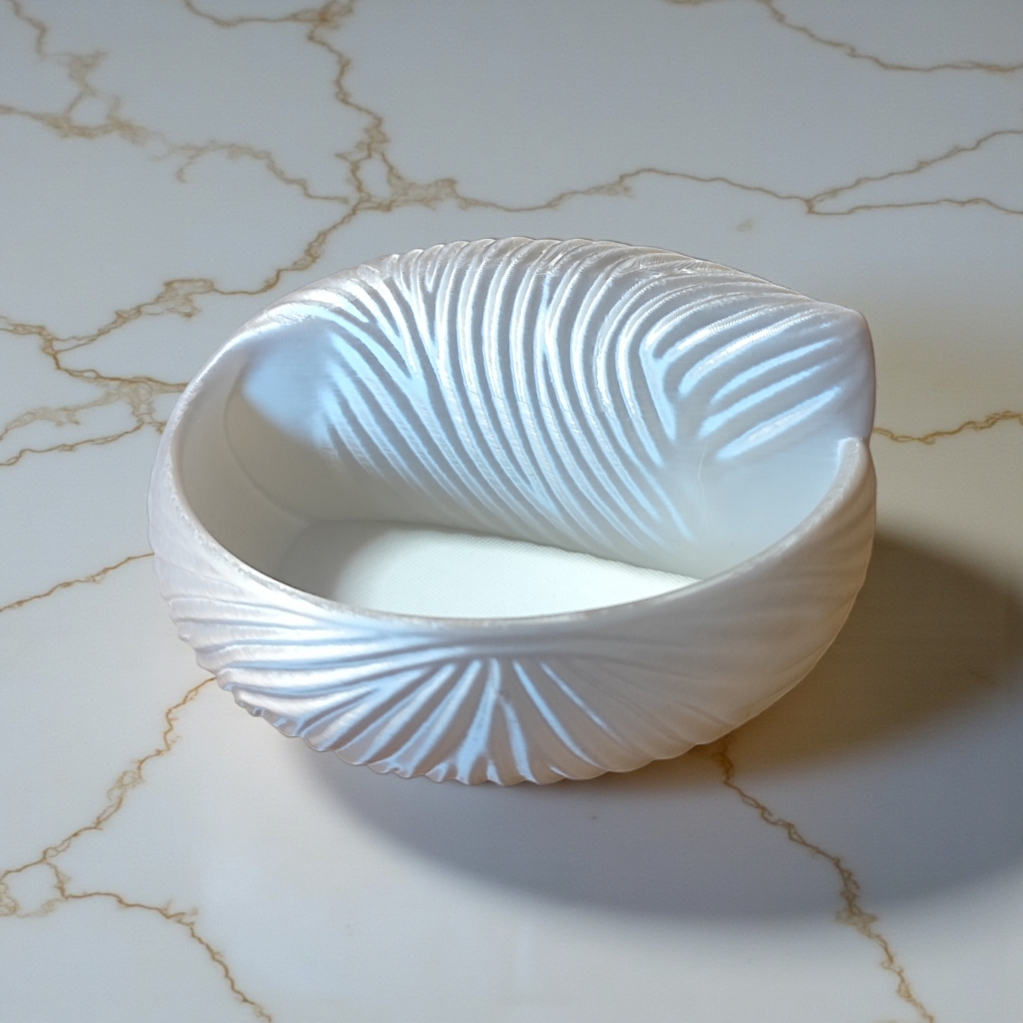 Sweet little seashell jewelery bowl