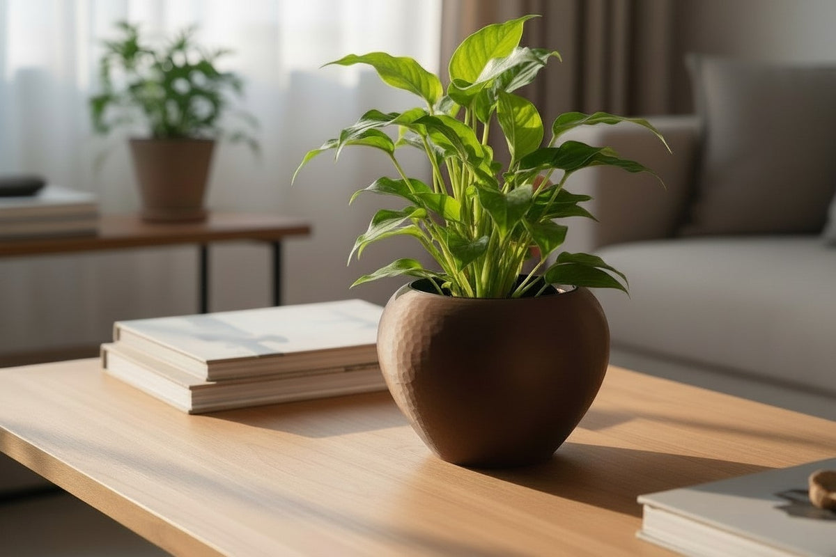 Self-Watering Plant Pot in a Hammered Design