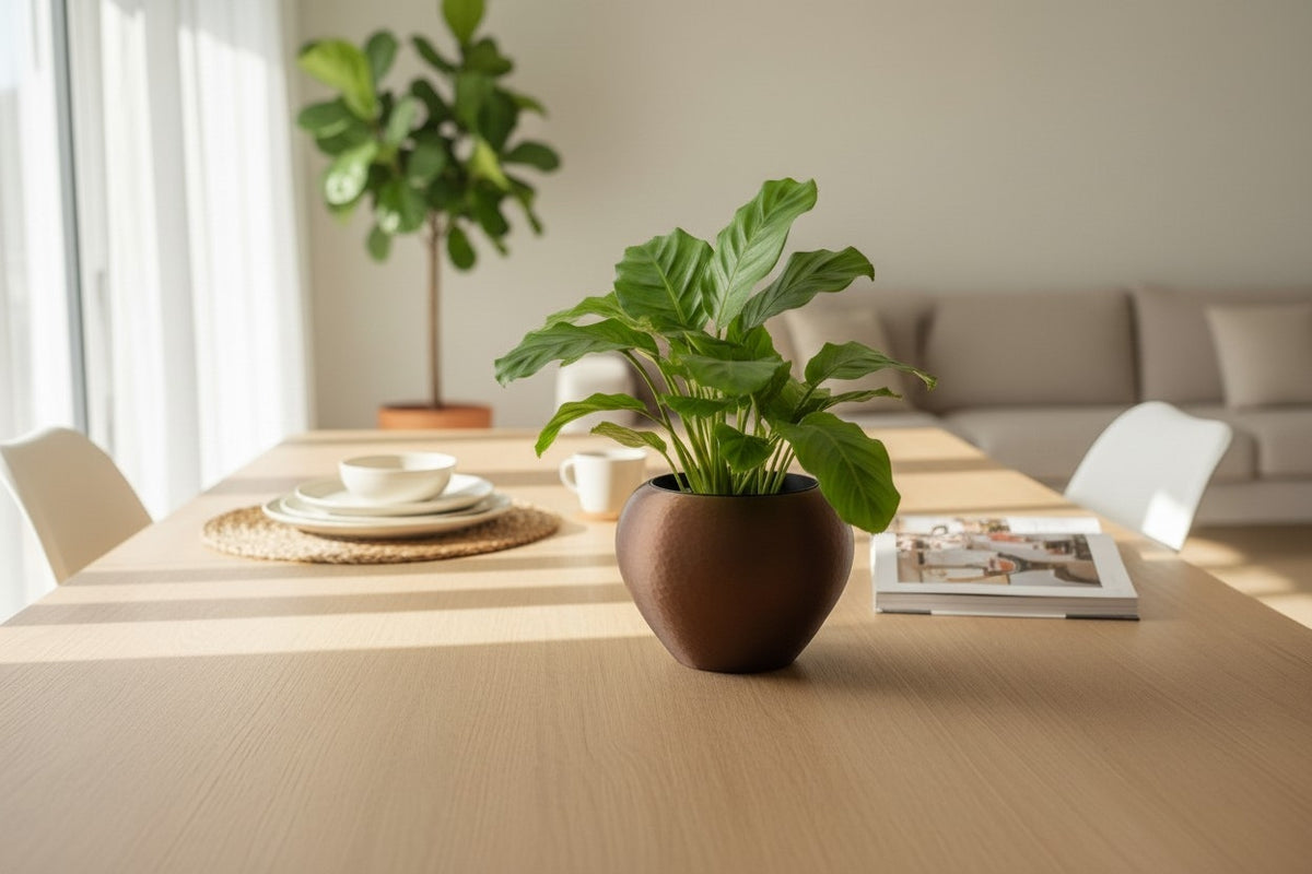 Self-Watering Plant Pot in a Hammered Design — white with plant on wooden table in bright living room