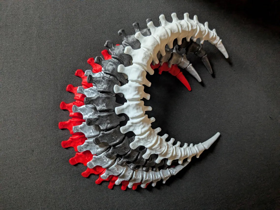 Pale Spinal Moon displayed on a studio wall with other decorations